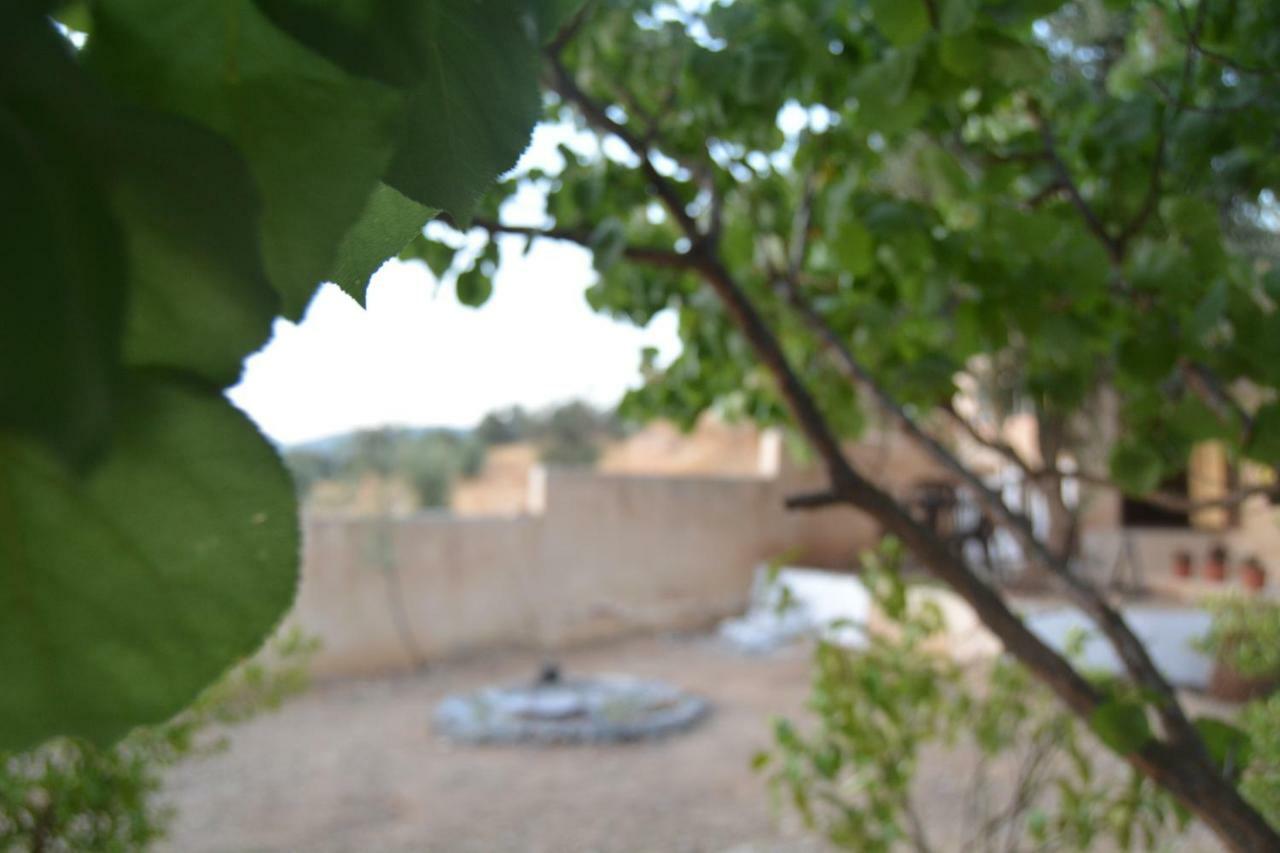 Our Villa'S Private Apartments - Hq Budget Stay - Wonderful Horizon View Of Jerash Jarash Exterior foto